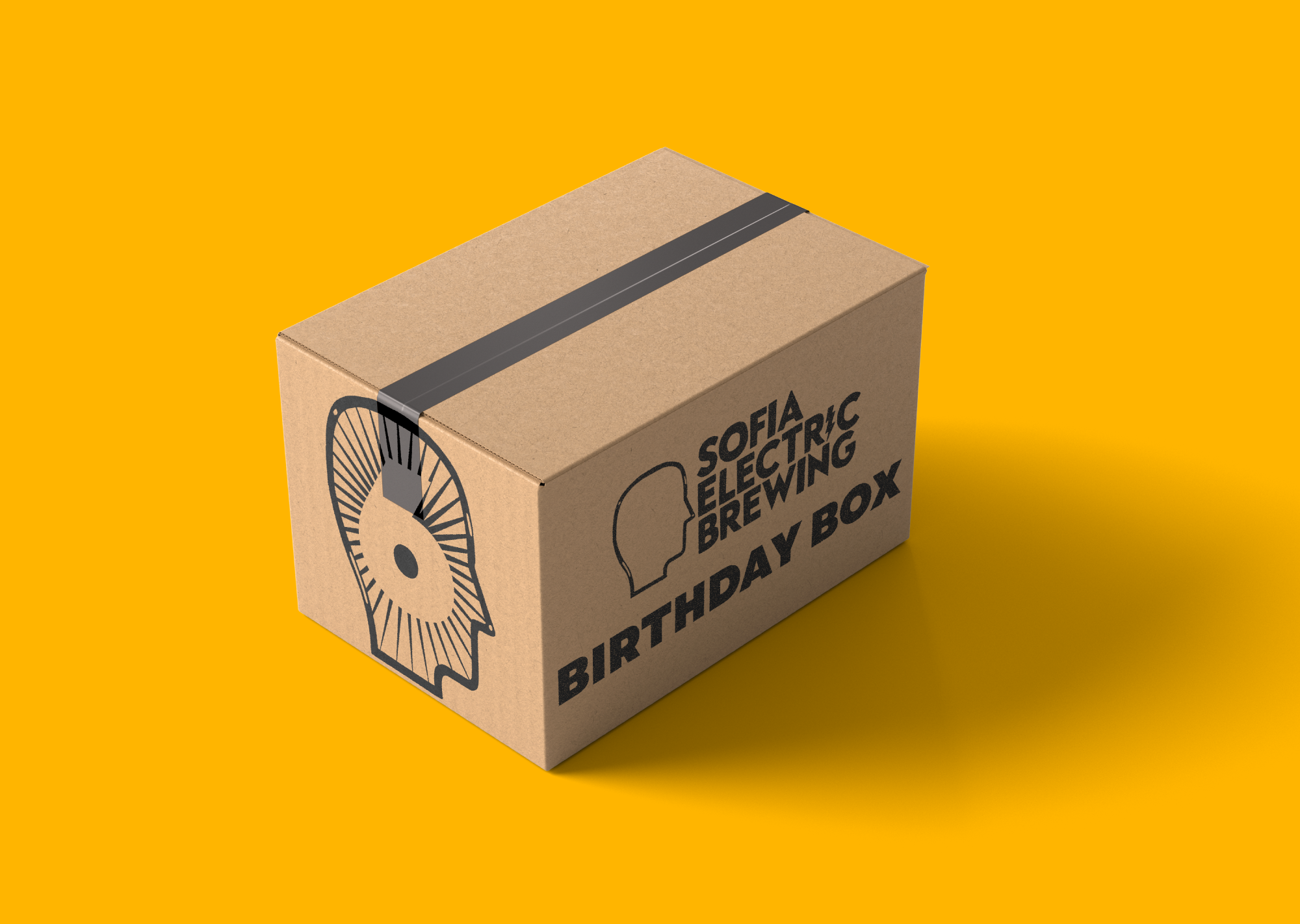 Sofia Electric Brewing 6 Years Birthday Box!